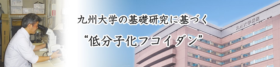 低分子化フコイダンの摂取について | がん治療ならNPO法人日本 ...